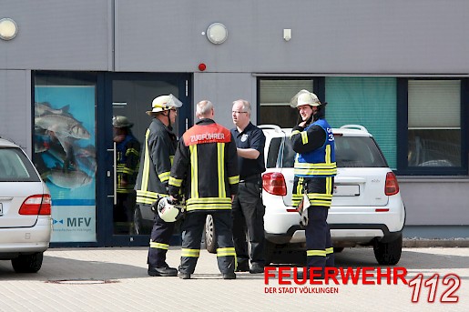 Quelle: (c) FFV Abteilung Presse und Öffentlichkeitsarbeit