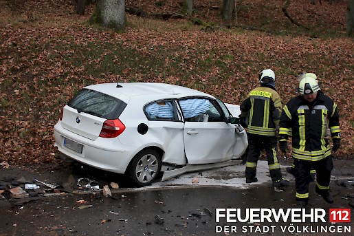 Quelle: (c) FFV Abteilung Presse und Öffentlichkeitsarbeit