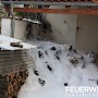 Quelle: (c) FFV Abteilung Presse und Öffentlichkeitsarbeit
