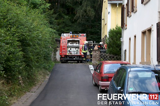 Quelle: (c) FFV Abteilung Presse und Öffentlichkeitsarbeit