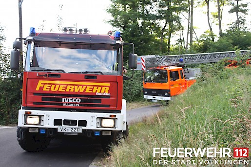 Quelle: (c) FFV Abteilung Presse und Öffentlichkeitsarbeit
