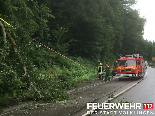 Quelle: (c) FFV Abteilung Presse und Öffentlichkeitsarbeit