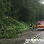 Quelle: (c) FFV Abteilung Presse und Öffentlichkeitsarbeit