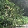 Quelle: (c) FFV Abteilung Presse und Öffentlichkeitsarbeit