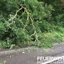 Quelle: (c) FFV Abteilung Presse und Öffentlichkeitsarbeit