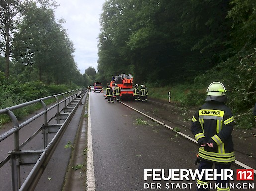 Quelle: (c) FFV Abteilung Presse und Öffentlichkeitsarbeit