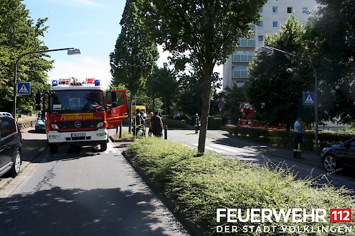 Quelle: (c) FFV Abteilung Presse und Öffentlichkeitsarbeit