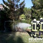 Quelle: (c) FFV Abteilung Presse und Öffentlichkeitsarbeit