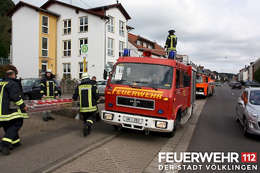 Quelle: (c) FFV Abteilung Presse und Öffentlichkeitsarbeit