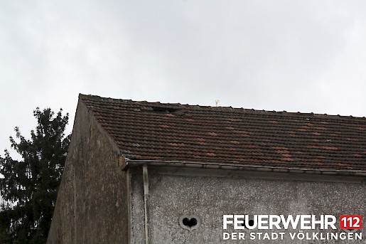 Quelle: (c) FFV Abteilung Presse und Öffentlichkeitsarbeit