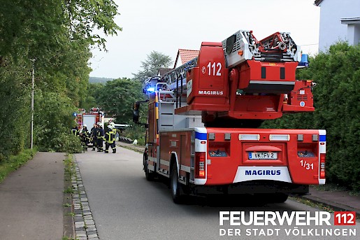 Quelle: (c) FFV Abteilung Presse und Öffentlichkeitsarbeit