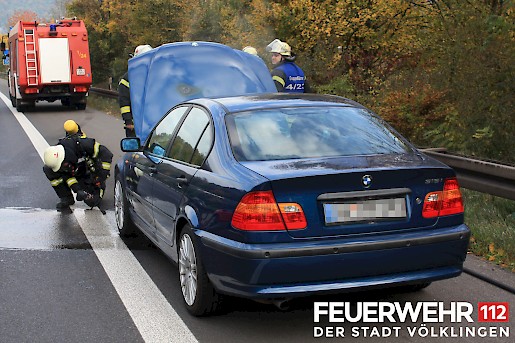 Quelle: (c) FFV Abteilung Presse und Öffentlichkeitsarbeit