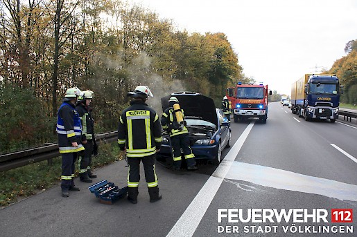 Quelle: (c) FFV Abteilung Presse und Öffentlichkeitsarbeit