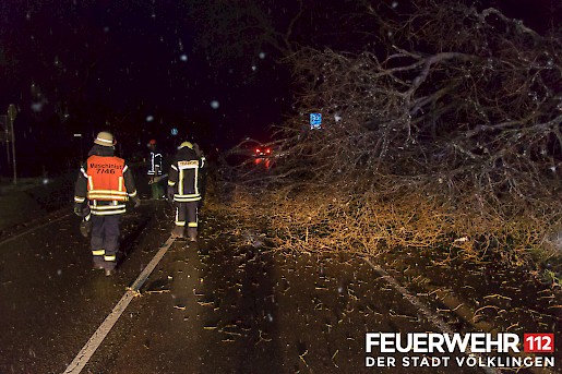 Quelle: (c) FFV Abteilung Presse und Öffentlichkeitsarbeit