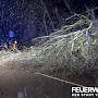 Quelle: (c) FFV Abteilung Presse und Öffentlichkeitsarbeit