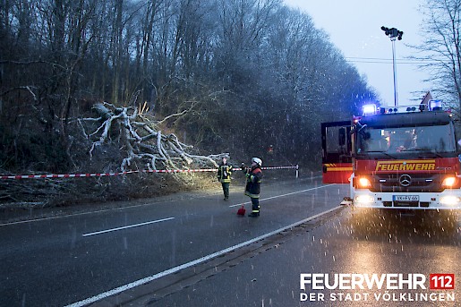 Quelle: (c) FFV Abteilung Presse und Öffentlichkeitsarbeit
