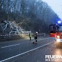 Quelle: (c) FFV Abteilung Presse und Öffentlichkeitsarbeit