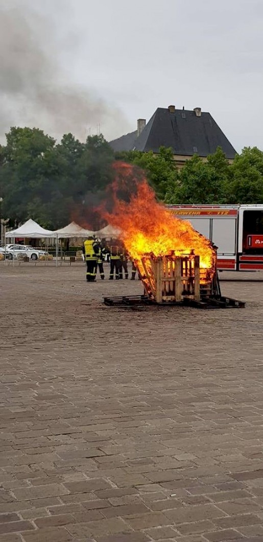 Quelle: (c) FFV Abteilung Presse und Öffentlichkeitsarbeit
