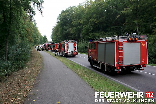 Quelle: (c) FFV Abteilung Presse und Öffentlichkeitsarbeit