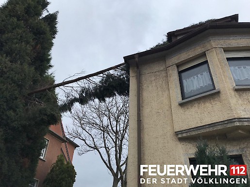 Quelle: (c) FFV Abteilung Presse und Öffentlichkeitsarbeit