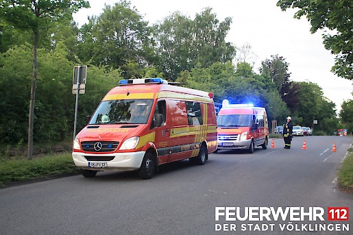 Quelle: (c) FFV Abteilung Presse und Öffentlichkeitsarbeit