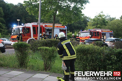 Quelle: (c) FFV Abteilung Presse und Öffentlichkeitsarbeit
