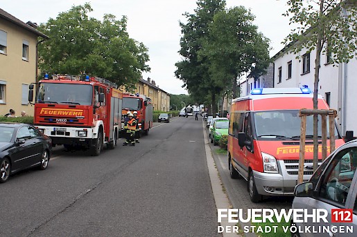 Quelle: (c) FFV Abteilung Presse und Öffentlichkeitsarbeit