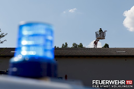 Quelle: (c) FFV Abteilung Presse und Öffentlichkeitsarbeit - LL